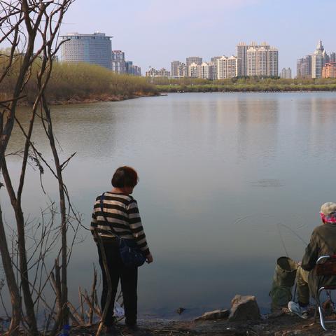 哈尔滨周边湿地公园相关长尾关键词有哪些