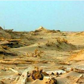 西安市陕重中学怎么样