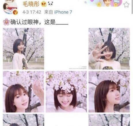 樱花加什么美食文案（安利鞠婧祎的文案）