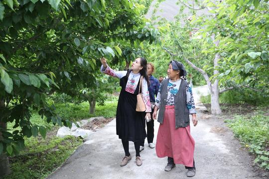 美与智慧并存！90后美女辞职回乡创业，一个举动让全村人都富了！