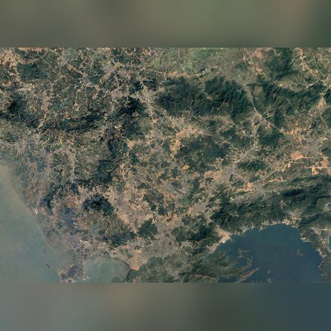 东莞市保安证哪里考