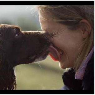 狗东西什么电影