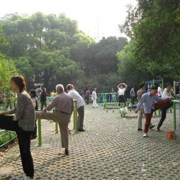 东莞市有哪些公园呢最近