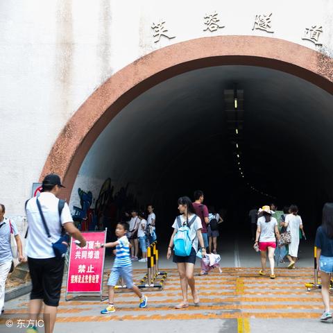 厦门乘坐48路去猫街什么地点下车？