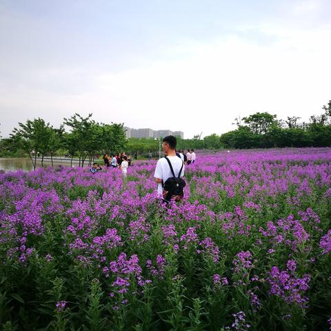 宁波市东边村在哪个区啊