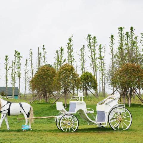 南通政府部门景点推荐相关长尾关键词有哪些