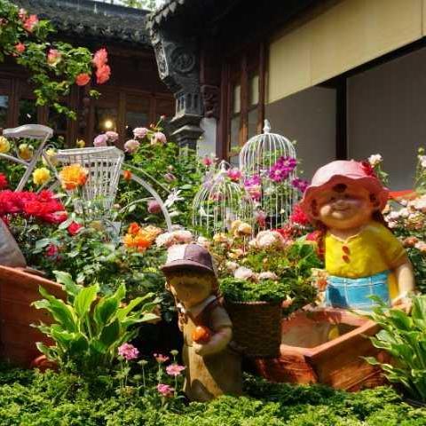 杭州月季花展在什么地方？