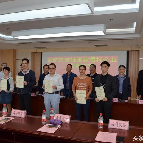 合肥市有哪些上市企业