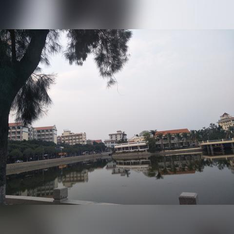 厦门市端午龙舟在哪里