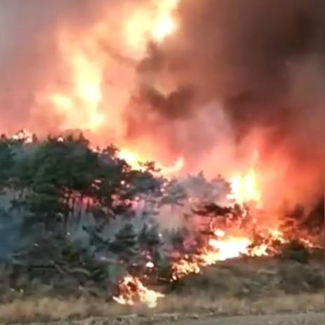 济南市大康村是哪个区