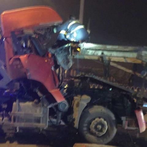 沈阳市十一号街在哪个区