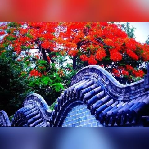 广东哪个市靠近厦门市区