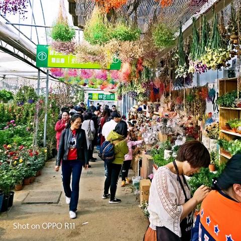 临沂市东外环经过哪里啊