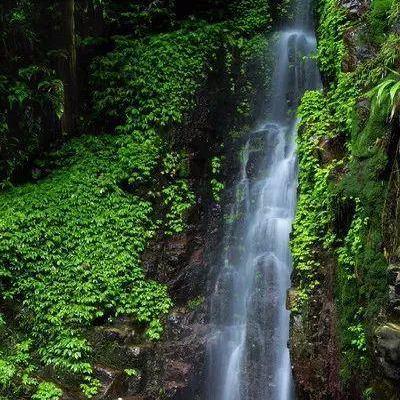 广东东莞市清溪镇泉水的长尾关键词有什么