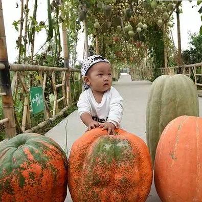 济南市刁镇为什么叫刁镇