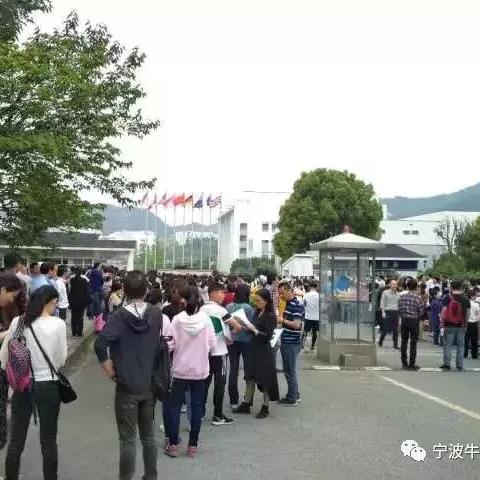 宁波市爱菊怎么样