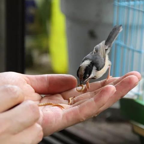 普通话网站设置密码相关长尾关键词有哪些