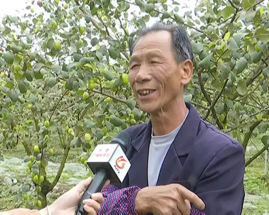 「创业」58岁老党员黄素候：致力发展种植业助力乡村振兴