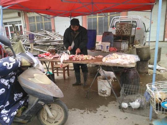 农村红白事一条龙用这种鸡还是不错的，大集散黄鸡10元麻鸡8块