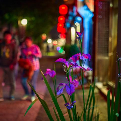 江苏无锡市夜景的长尾关键词有哪些