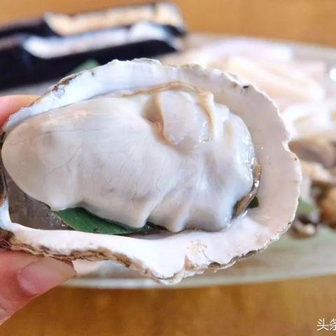 成都市华阳自助火锅的长尾关键词有哪些