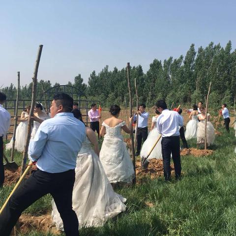 河北省邯郸市最大的婚礼的长尾关键词有哪些