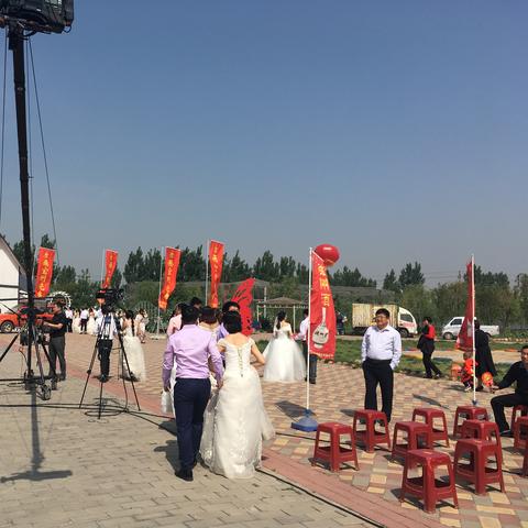 邯郸市绿植门市的长尾关键词有哪些