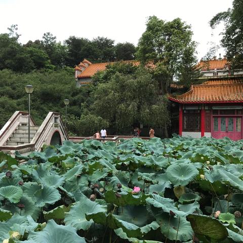 苏州飞南宁机票多少钱的相关长尾关键词有哪些