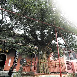 长沙市区有什么庙宇嘛