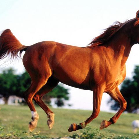 路旁土命是什么意思这个命好不好(路旁土命命理解析)