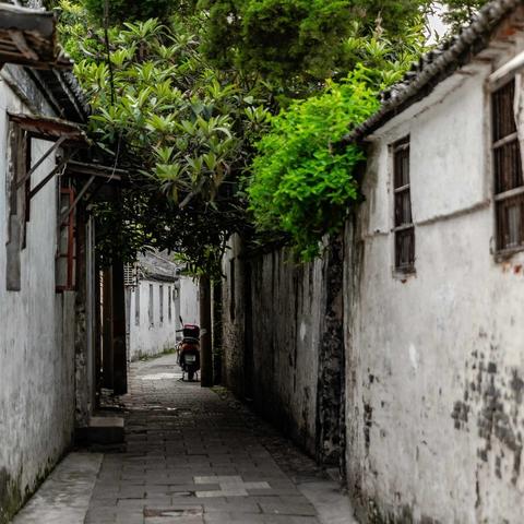 南通人做菜放酱油吗长尾关键词有什么