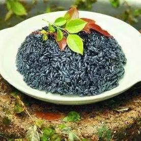 无锡市哪里可以栽樱桃树