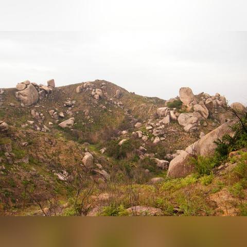 广州市濠江区是什么区