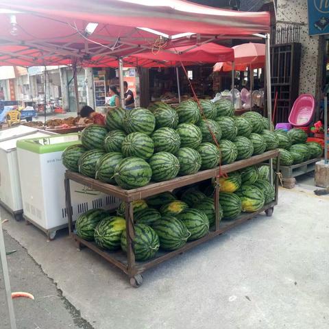 东莞市卖菜大王在哪里卖