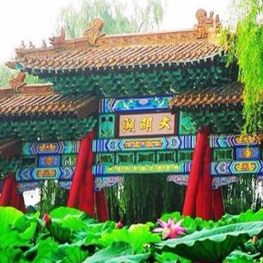 济南市的植被以什么为主