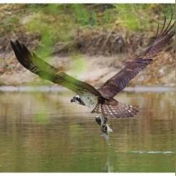 菏泽市牡丹区学校食堂的长尾关键词有哪些
