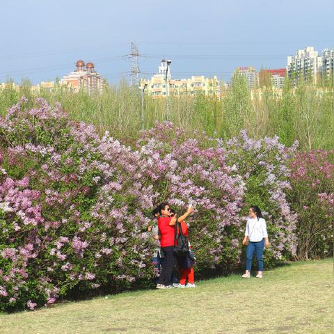 哈尔滨公园大学在哪相关长尾关键词有哪些