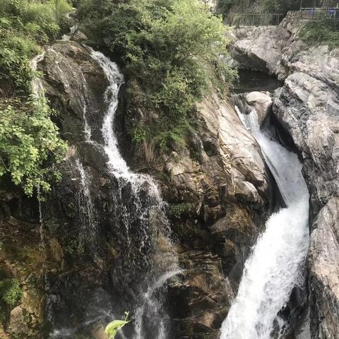 西安秦岭花世界柠檬树相关长尾关键词有哪些