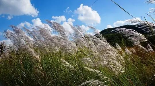 风景美到哭！昆明高颜值冷门“藏湖”，多年来却无人问津