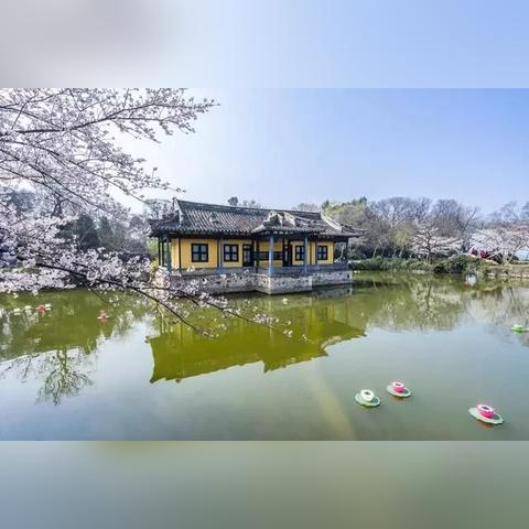 苏州市哪个省的人最多啊