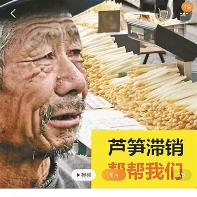 广州水果笋相关长尾关键词有哪些