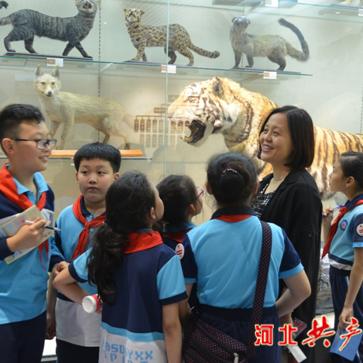 石家庄市师大附小招聘的长尾关键词有什么