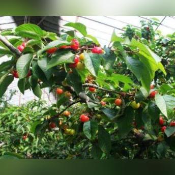 天气干旱是什么原因