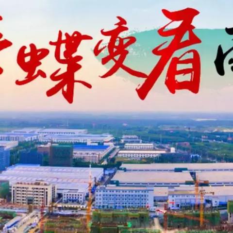 合肥市南岗属于哪里街道