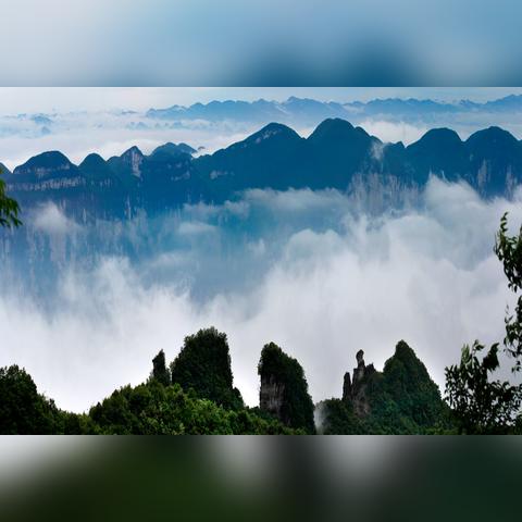 武汉市哪个洲