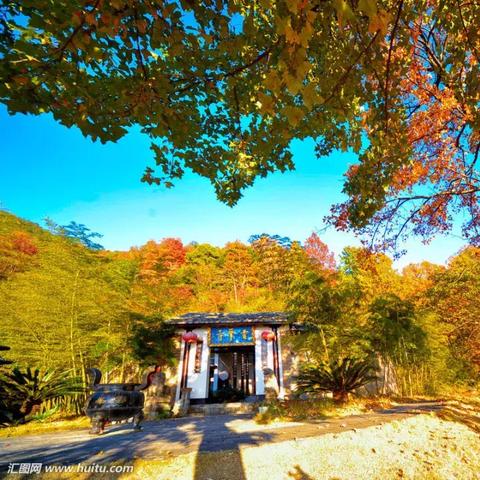 普陀山福建游客为什么那么多？