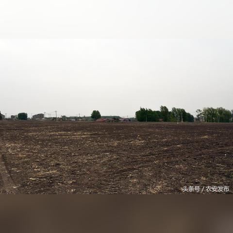 沈阳市哪个区指标到校多