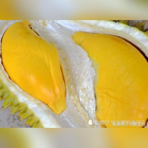 杭州榴莲e家的相关长尾关键词有哪些