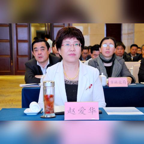 临沂市求是小学的长尾关键词有哪些
