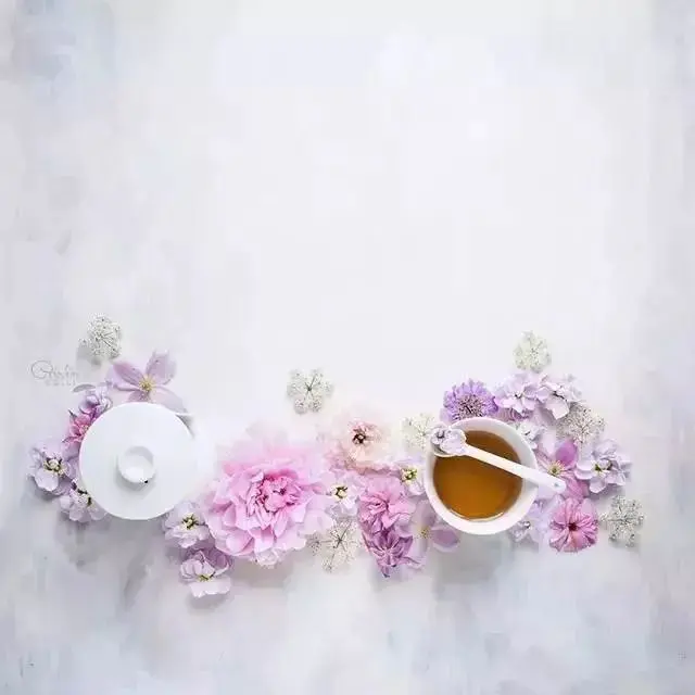 名人美文推荐(聄美文推荐)